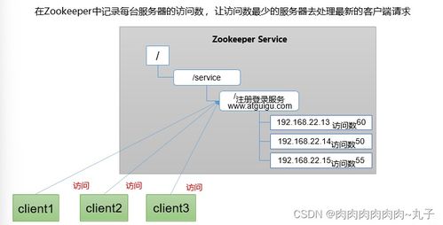 大數(shù)據(jù)應用 學習zookeeper